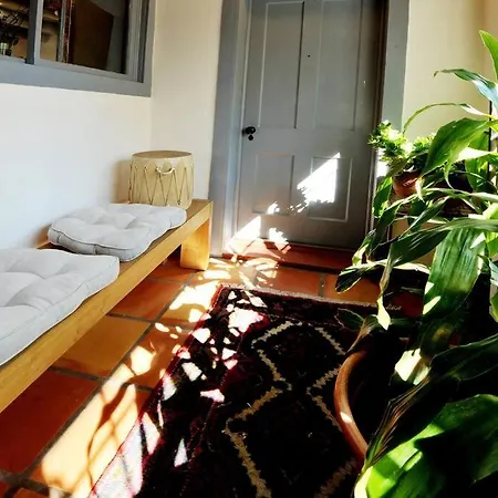 Apartment Romantic Amor~ Great Location, Park View, Historic East Side *