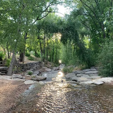 Romantic Amor~ Great Location, Park View, Historic East Side